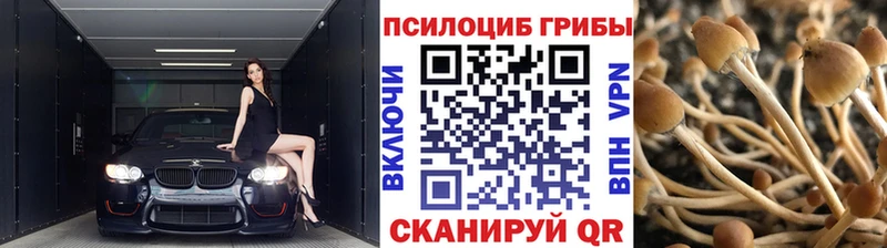 Псилоцибиновые грибы ЛСД  Купить закладки  Микунь 